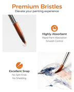 12-Piece Detail Paint Brush Set – Wood