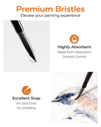 12-Piece Detail Paint Brush Set